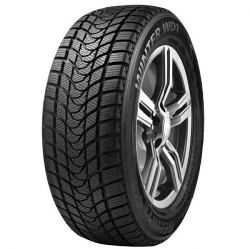 Delinte Winter WD1 215/55 R16 97H XL