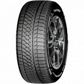 Шины Winter Pro TSS2