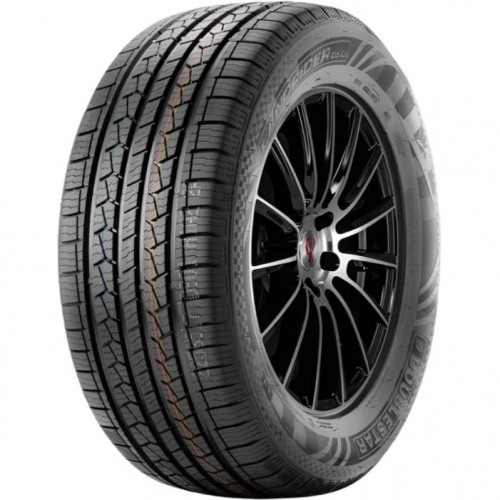 DoubleStar DS01 215/60 R17 100H