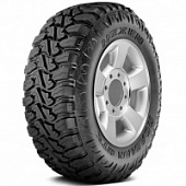 Шины Roadian MTX RM7