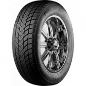 Шины Pace Antarctica 5 155/70 R13 75T